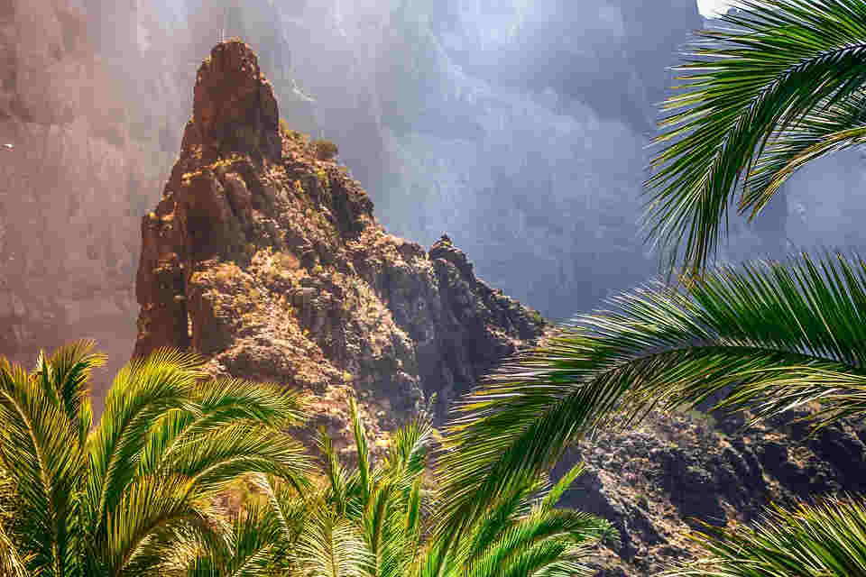 <strong></noscript>Mudanzas a Tenerife Fuerteventura y Lanzarote para teletrabajar</strong> post thumbnail
